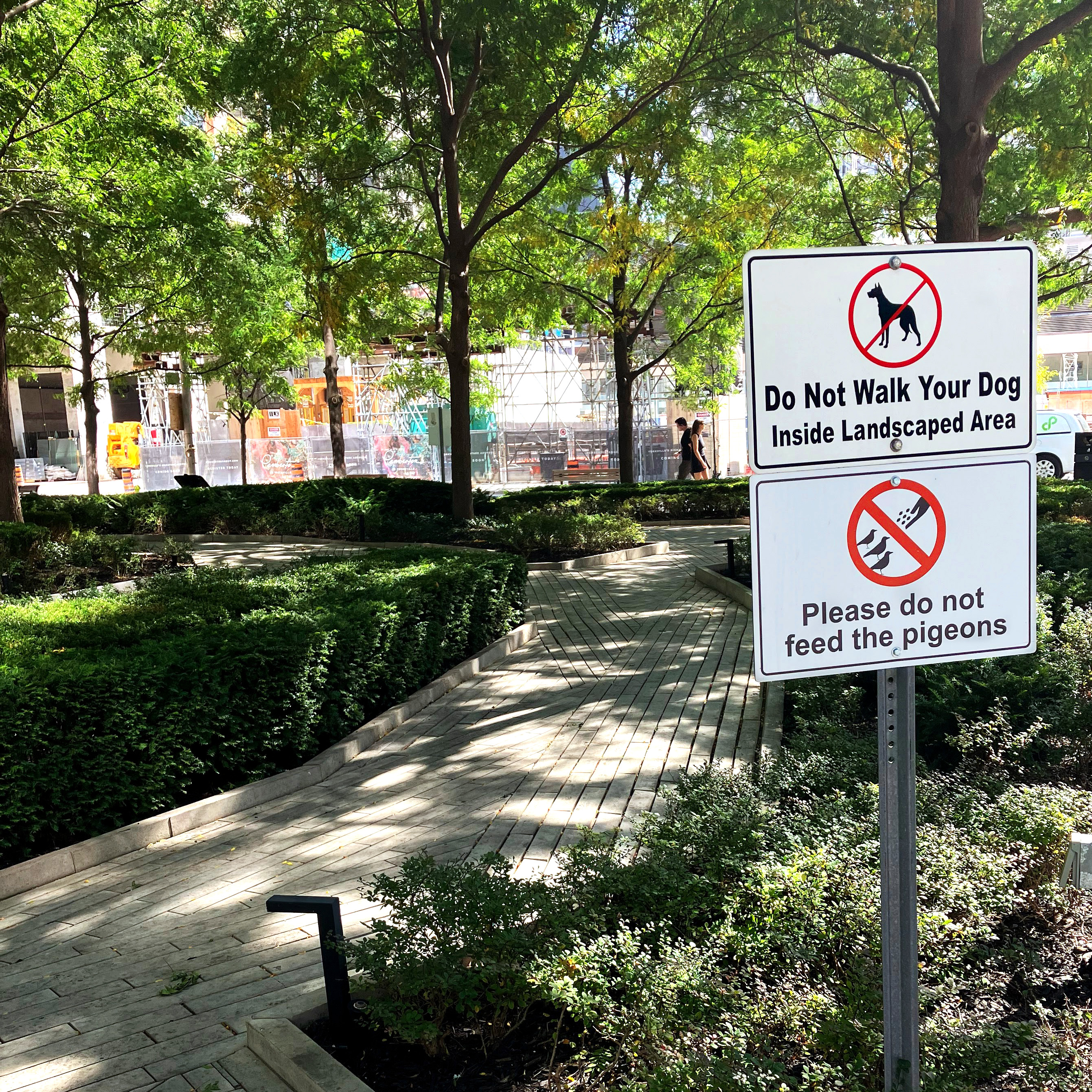 Picture of Soil Tests in Urban Parks: Assessing the Impacts of Dog Use | LACF